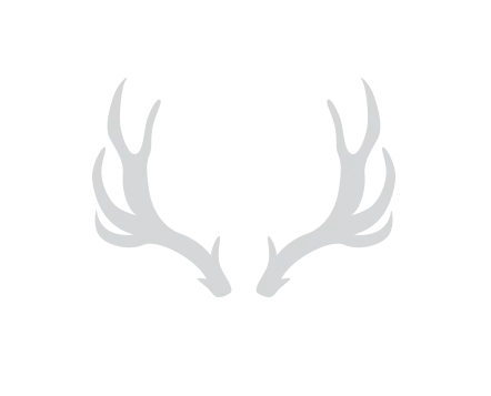 deer antler vector
